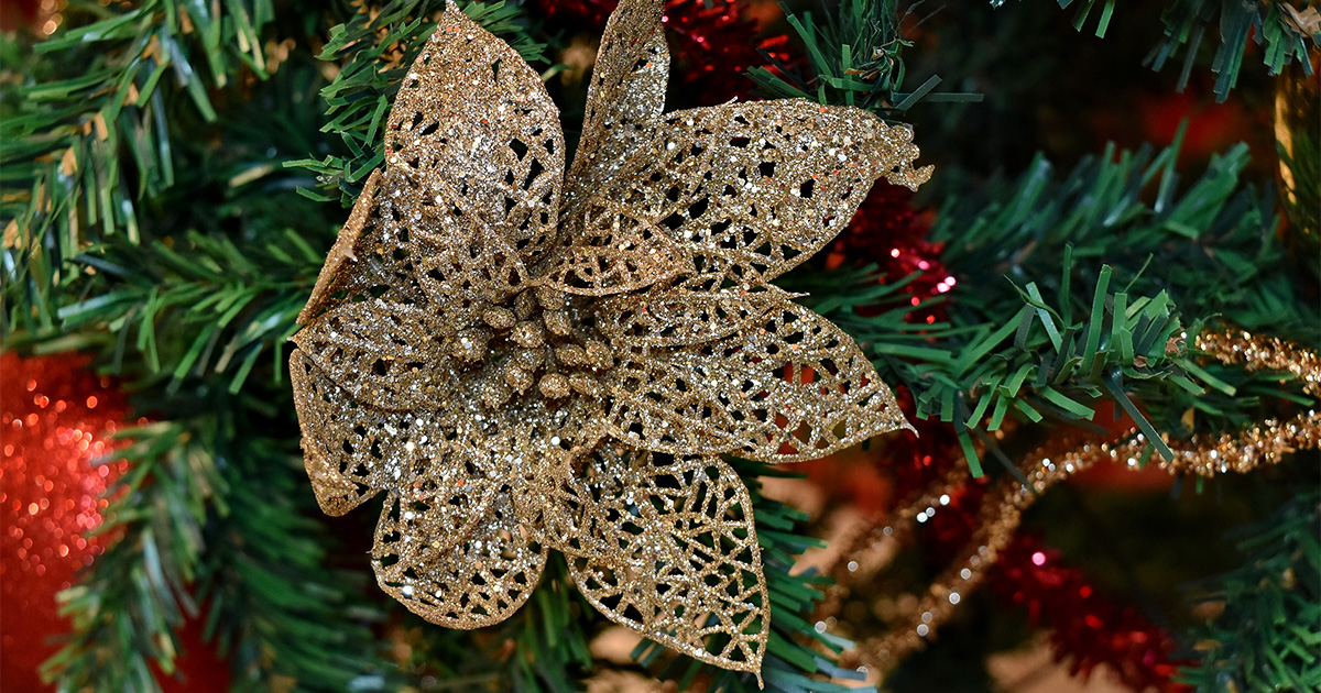 Brillo de flor de árbol de Navidad