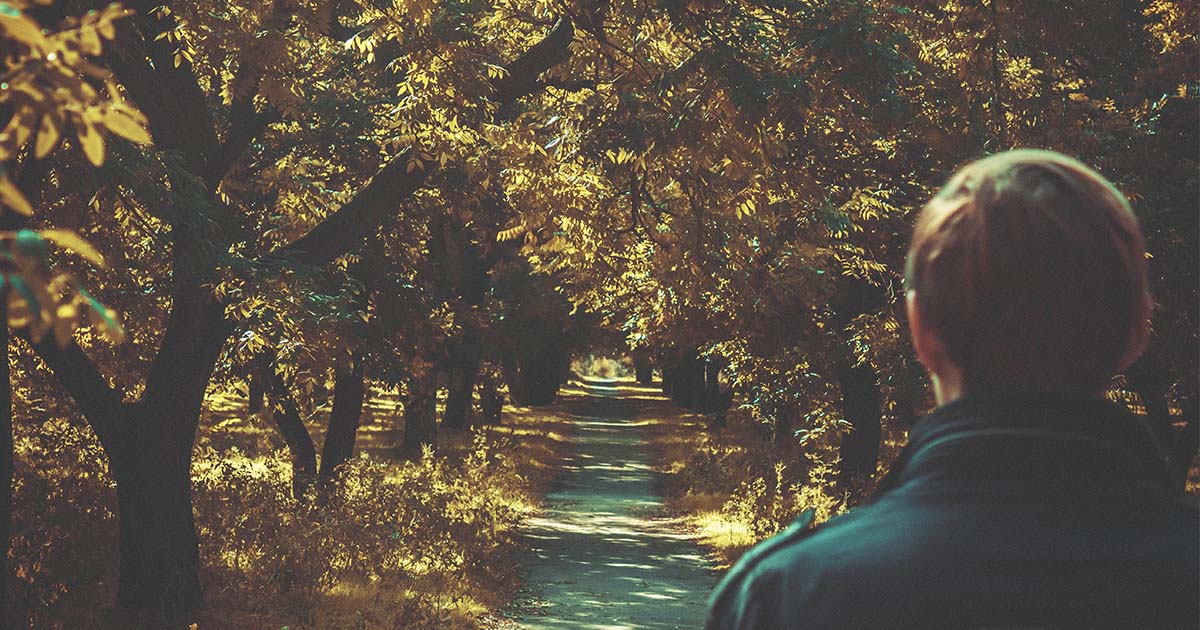 Homem olhando o caminho pela floresta no outono.